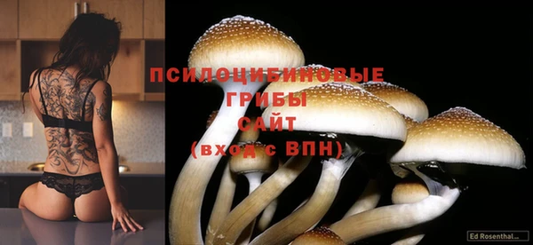 альфа пвп Вяземский