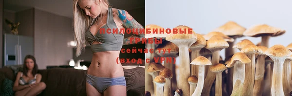 ECSTASY Вязники