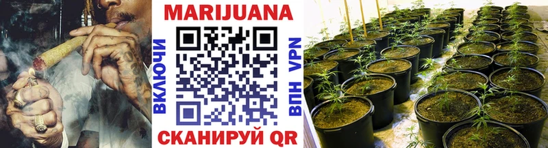 Конопля план  Омск 